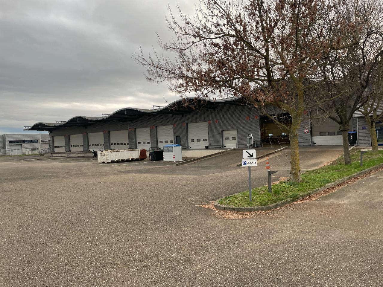 Local d'activité Souffelweyersheim 2994m² Location local d'activité Souffelweyersheim Bas-Rhin OLACT2311048 2